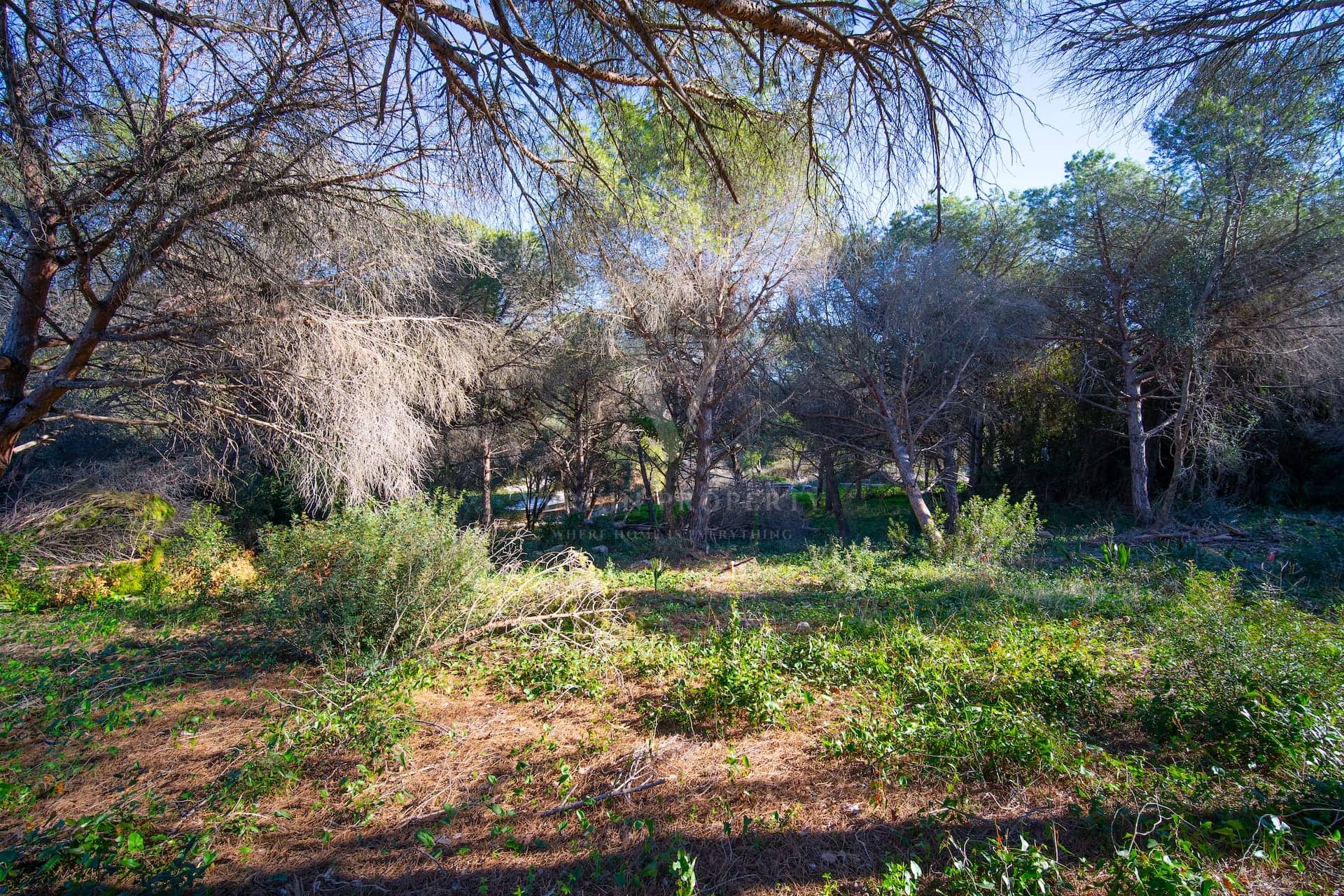 Lentisco 72, La Reserva de Sotogrande - Verdin Property